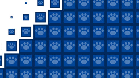 Paw-Block-tile-wave-Transitions.-1080p---30-fps---Alpha-Channel-(1)